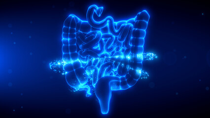 Digital scanning effect of Human Large and Small Intestine glowing in blue, highlighting intricate details with a futuristic design. The image emphasizes the digestive system's anatomy and health.