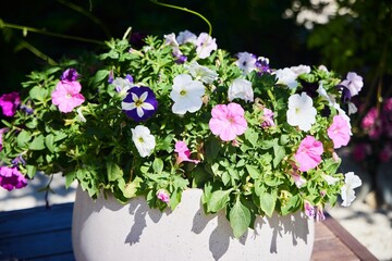 A white flower pot with a variety of flowers including pink, purple, and white. The flowers are arranged in a way that creates a sense of harmony and balance