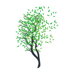 green branch