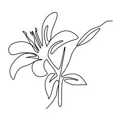 Rose Romantic Flower Graphic Design Decoration Vector Line Art