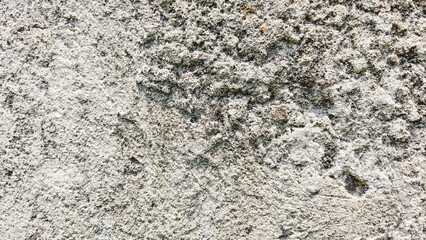 Closeup photo of a cement wall rough texture