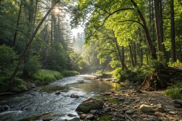 Obraz premium Sparkling sunlight filters through the dense foliage of a pristine forest creek, filter, natural light, trees, sunlight, creek