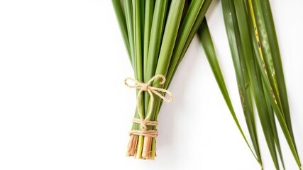 Obraz premium A bundle of fresh palm leaves tied together with twine on a white background, natural scene, greenery, fresh palm leaves