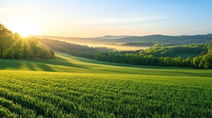 Obraz premium Serene landscape with rolling hills and sunlight.