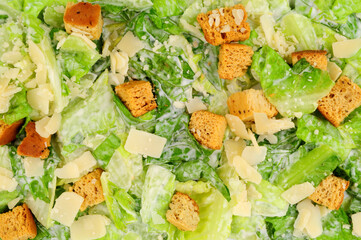 Fresh Caesar salad background with Romaine lettuce, Caesar Dressing, Parmigiano Reggiano Medium Fat Hard Cheese and crispy bread croutons