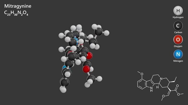 Mitragynine. Drug. Animated 3D model of a molecule. Molecular formula: C23H30N2O4. Chemical model: Ball and sticks. Gray background. 3D rendering. Seamless loop.