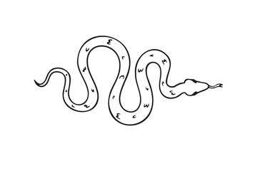 Hand drawn doodle snake top view icon. Outline drawing isolated snake on white background.