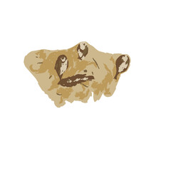 illustration of Indonesian food fish rempeyek