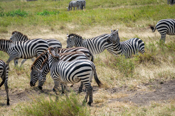 Simiyu is an administrative region of Tanzania. It was created in March 2012, being until then part of the Shinyanga Region. Its capital is the city of Bariadi.
