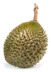 Durian The King of (Tropical) Fruits isolate on white background with clipping path.