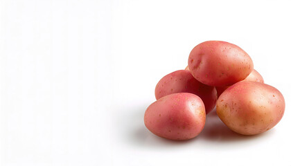 Obraz premium Red Thumb potato is a fingerling potato with red skin and creamy pink flesh are ideal for roasting whole and serving alongside a gourmet entree or salad. Isolated on white background with copy space