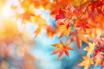 Fototapeta premium Autumn leaves on a blurred background. Perfect for fall-themed designs, websites, or blogs; evokes warmth and tranquility.