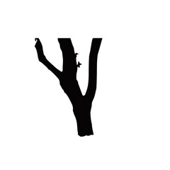 Fototapeta premium dried tree illustration