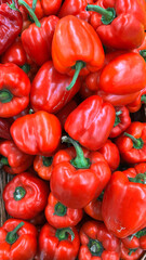 Fresh red sweet pepper