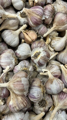 White Garlic Background on Food Market Stall