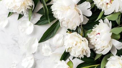 White Peonies Blooming on Green Leaves - an elegant and natural composition. The delicate white petals and vibrant green leaves create a harmonious and refreshing visual.