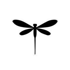 Dragonfly Illustration
