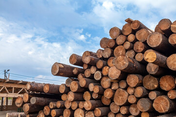 round timber, in the photo the logs are close-up against the blue sky