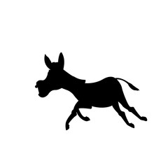 Donkey Illustration
