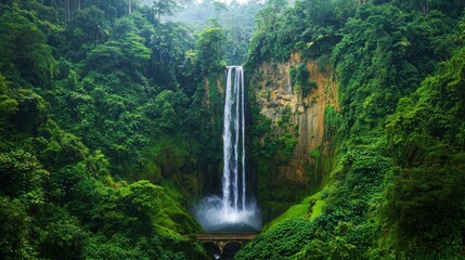 Majestic Waterfall in Lush Rainforest 