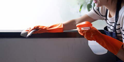 Woman Cleaning Windows with Spray and Cloth