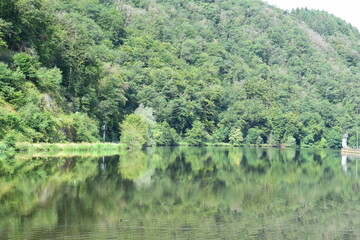calm Saar