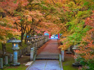 日本の秋、燈籠と紅葉の高山寺