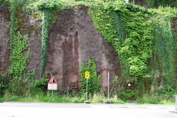 rough cliff with hanging plants