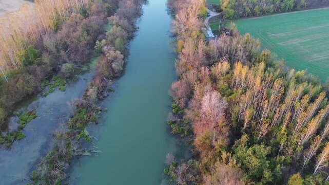 Panorama of Small Danube river from drone at sunset with gren fields and sun, Slovakia