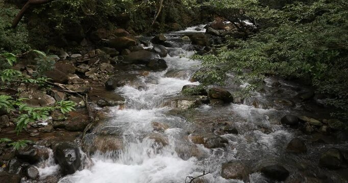 Small wild mountain river. Stunning landscape of wilderness and pure nature. Rincon de la Vieja, Costa Rica.