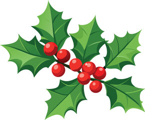 Christmas holly branch with red berries and green leaves