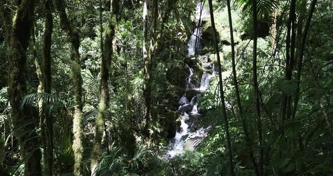 Waterfall on small wild mountain river, long exposure. Stunning landscape of wilderness and pure nature. San Gerardo de Dota, Costa Rica.