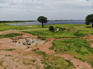 60 megawatt solar farm in Malawi, East Africa