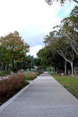 PARCO DEL MERCATELLO,SALERNO,ITALIA,20 NOVEBRE 2024.