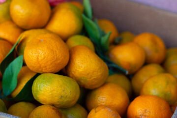 Mandarin season in Georgia. Juicy sweet fresh raw ripe orange tangerine on fruit store stall. Concept of buying farm products at street market. Citrus. Food. Vegetable shop in Georgian city of Tbilisi