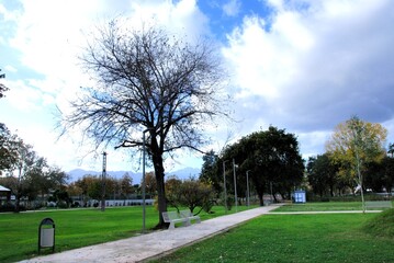 PARCO DEL MERCATELLO,SALERNO,ITALIA,20 NOVEBRE 2024.