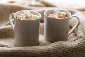 Cups of delicious hot chocolate and artisanal gift box