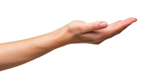 female empty human hand holding something isolated