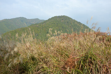 京都大原　秋の風景　京都市左京区