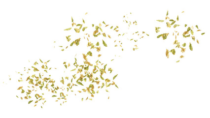 Dead leaves on transparent Background. Background of fluttering leaves