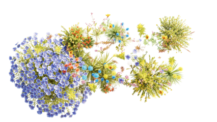 Top view group of Evergreen colorful flowers and grass field in nature with isolated on transparent background