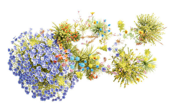 Top view group of Evergreen colorful flowers and grass field in nature with isolated on transparent background