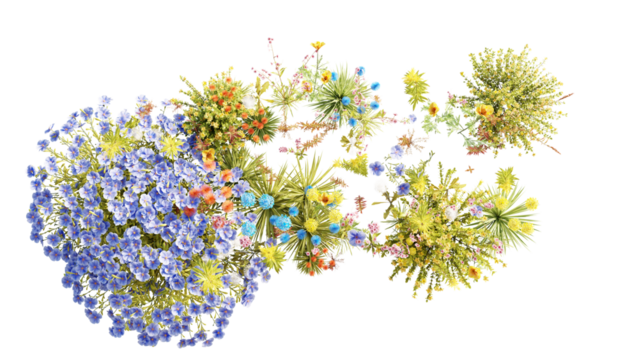 Top view group of Evergreen colorful flowers and grass field in nature with isolated on transparent background