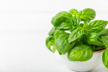 Green basil leaves on a textured wooden background. Kitchen herbs, spices. Fresh green organic basil. Vegan. Greens for salad. Place for text. Copy space.