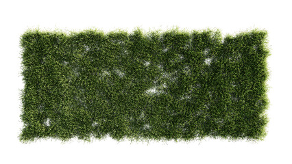 vertical gardening in a home. 3d rendering of a green wall