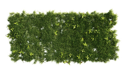 vertical gardening in a home. 3d rendering of a green wall