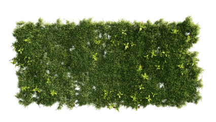 vertical gardening in a home. 3d rendering of a green wall