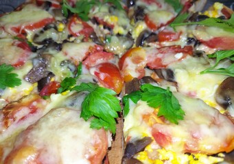 Hot valuable with meat, vegetables, cheese and fresh greens. Cut into pieces