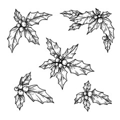 Christmas holly line art. Black and white traditional linear illustration 