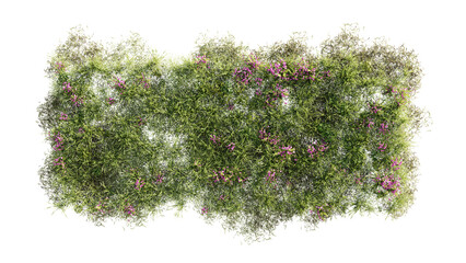 Top view of 3D render various types of flowers, grass, bushes, shrub, stone, and small plants on transparent background
